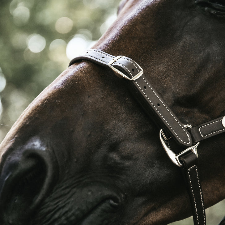 product shot image of the Leather Headcollar Flexible - Brown