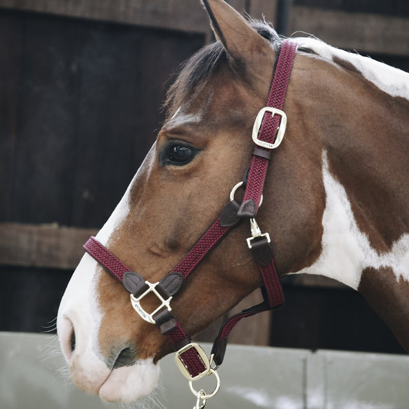 product shot image of the Plaited Nylon Horse Lead - Burgundy