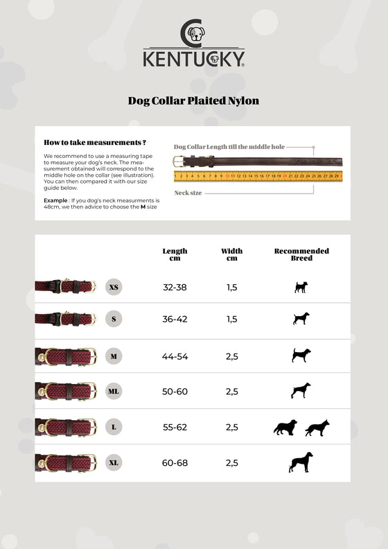 product shot image of the Plaited Nylon Dog Collar - Navy