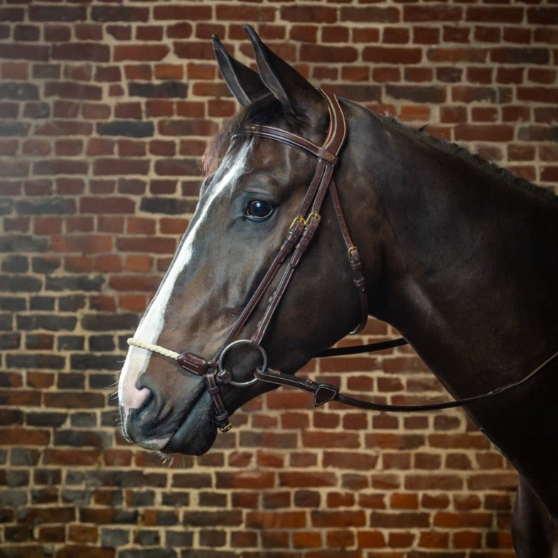 product shot image of the Rope Drop Noseband Bridle