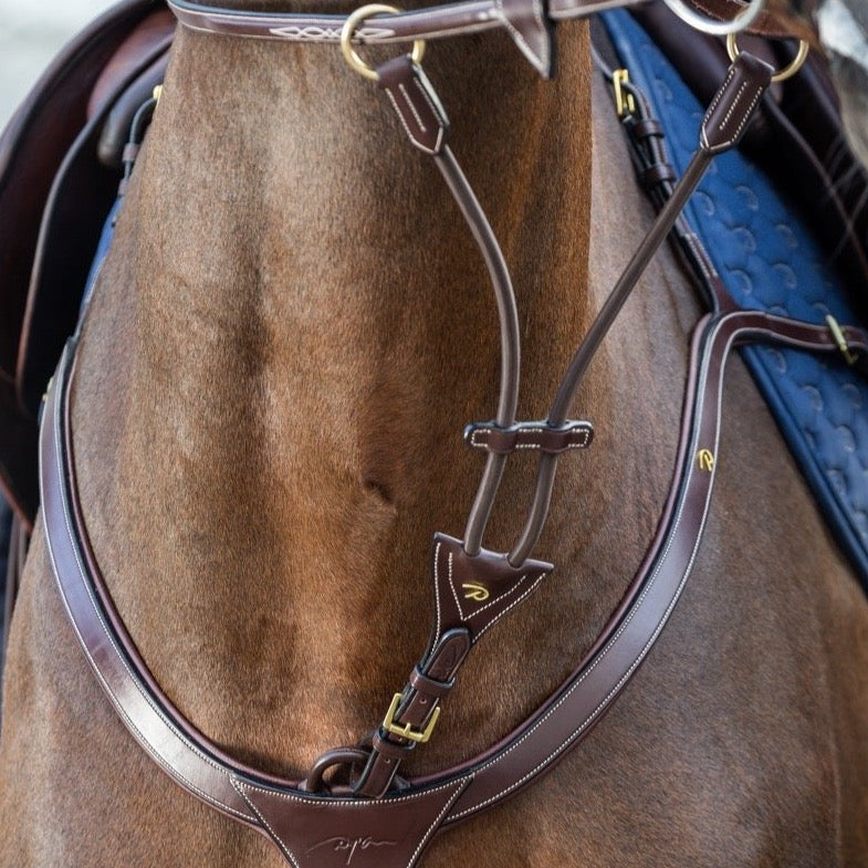 product shot image of the D Collection Elastic Running Martingale Attachment